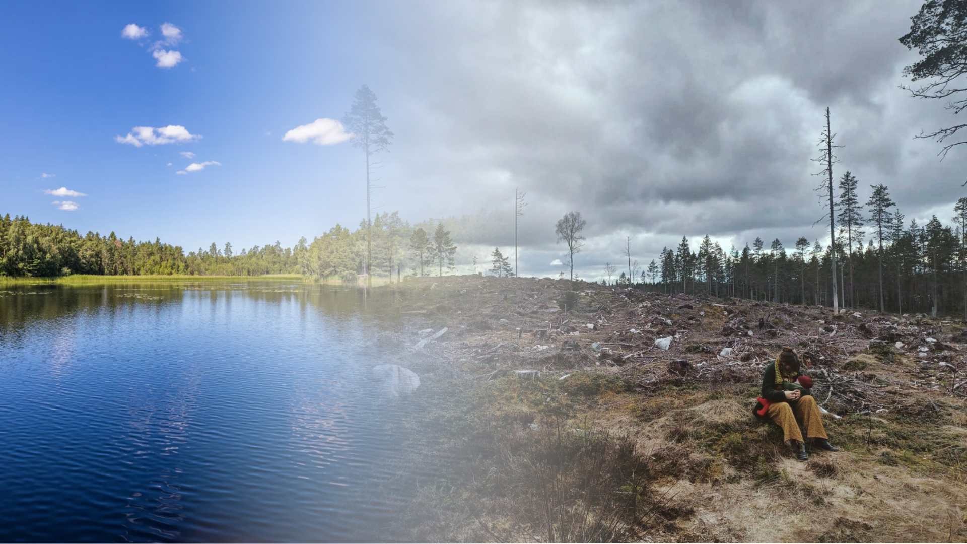 Svenskarna vill att politikerna gör mer för klimat och natur