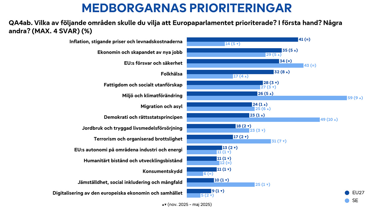 Svenskarnas viktigaste fråga för EU fortsätter att skilja ut sig