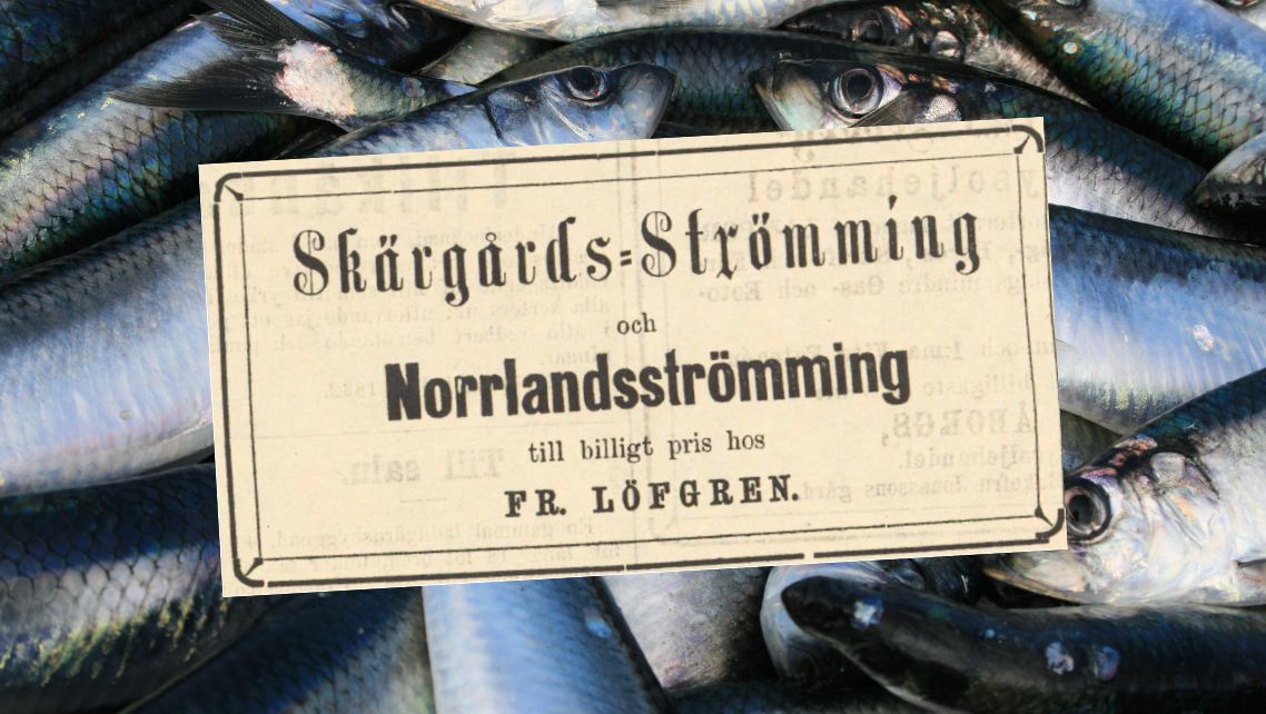 Norrlandsströmming ny skyddad ursprungsbeteckning