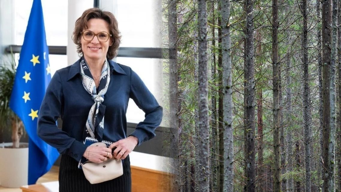 Jessika Roswall: Vild natur stärker gränserna