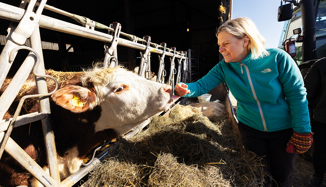 En försmak av valrörelsen – Andersson på tidig turné