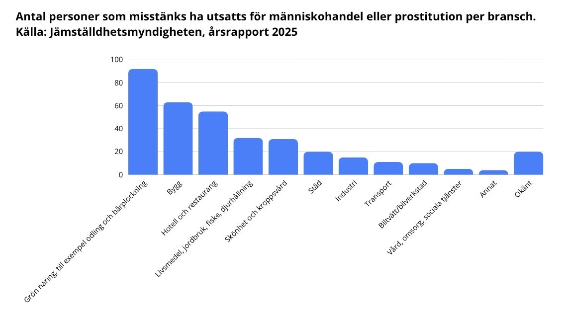 Jämställdhetsmyndigheten: Svårare att upptäcka exploatering