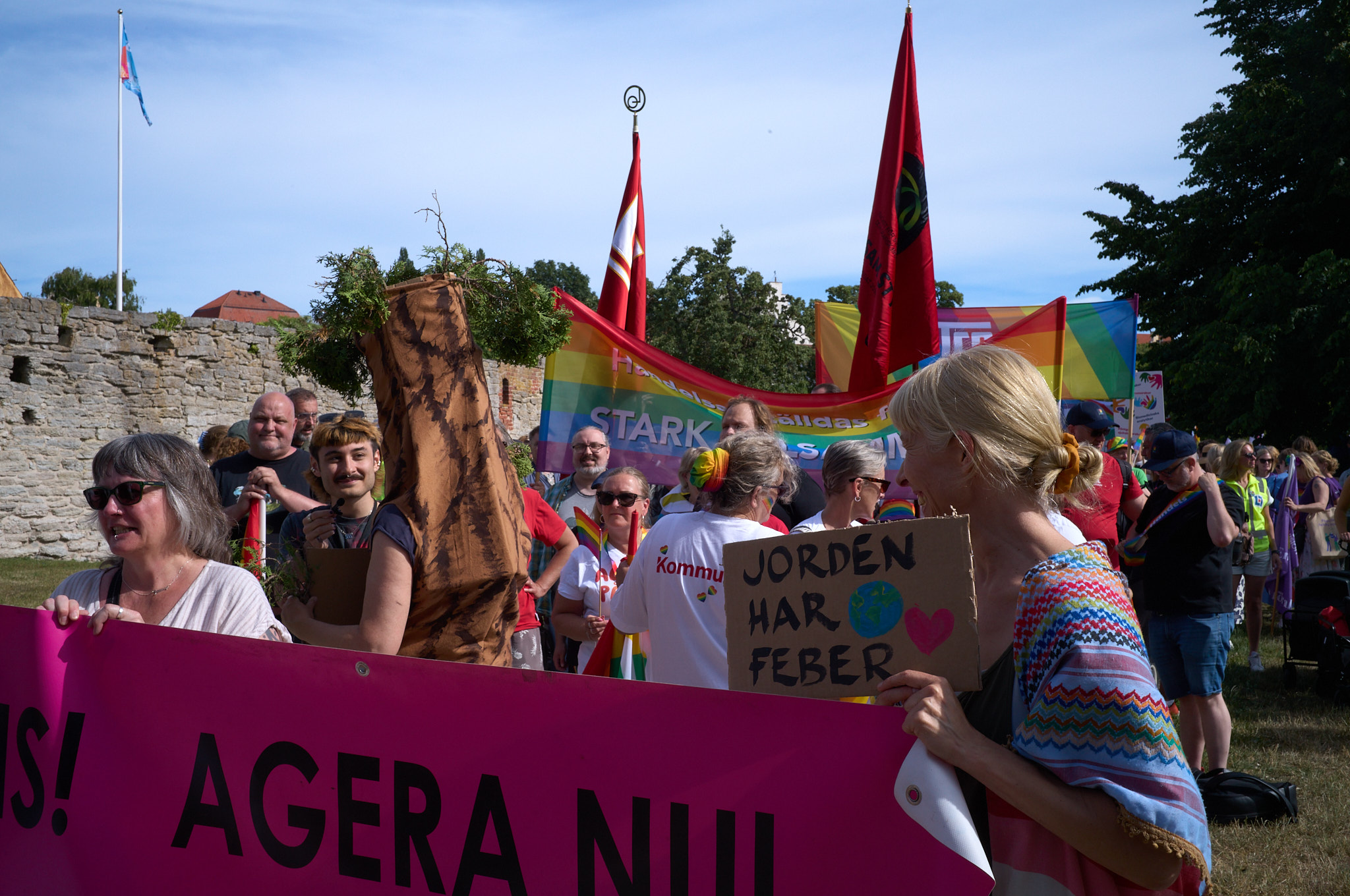 Oro för NMR-störningar – Mångfaldsparaden lockade många