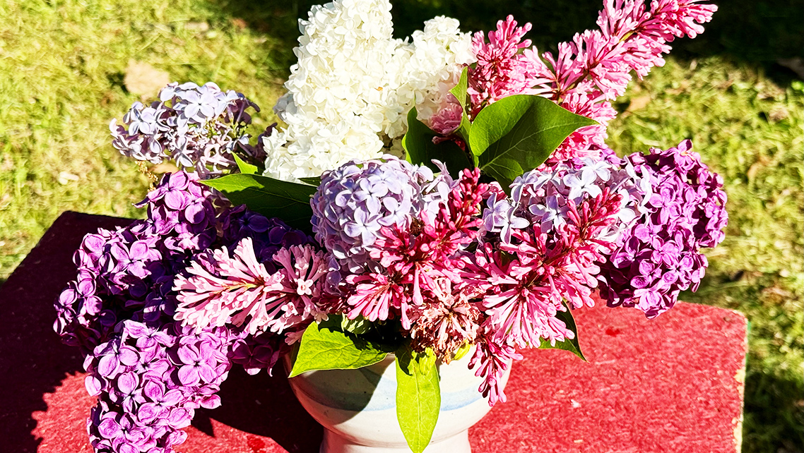 Klimatförändringarna syns på försommarblomster