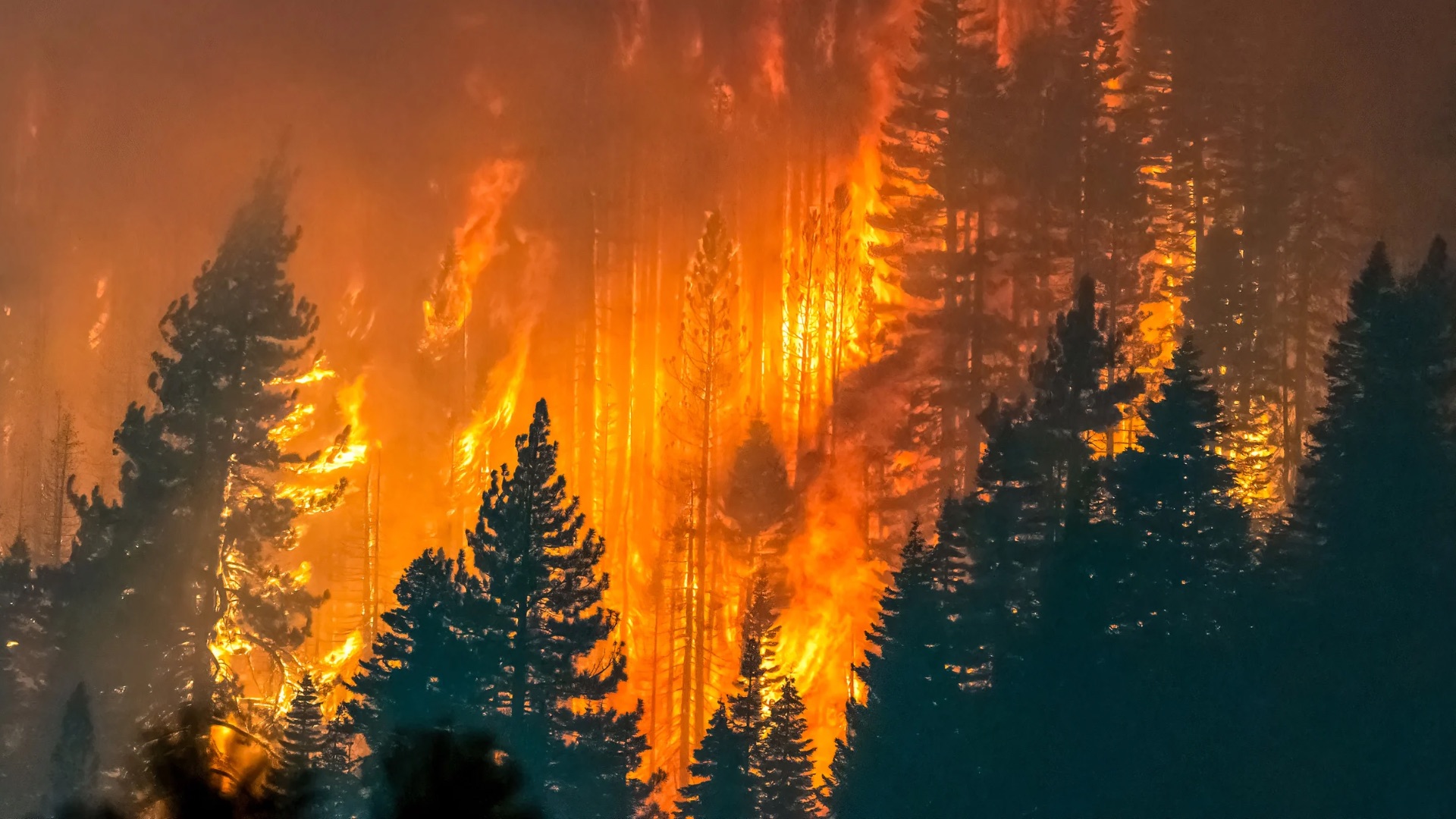 Få tvivlar på klimatets roll i bränderna