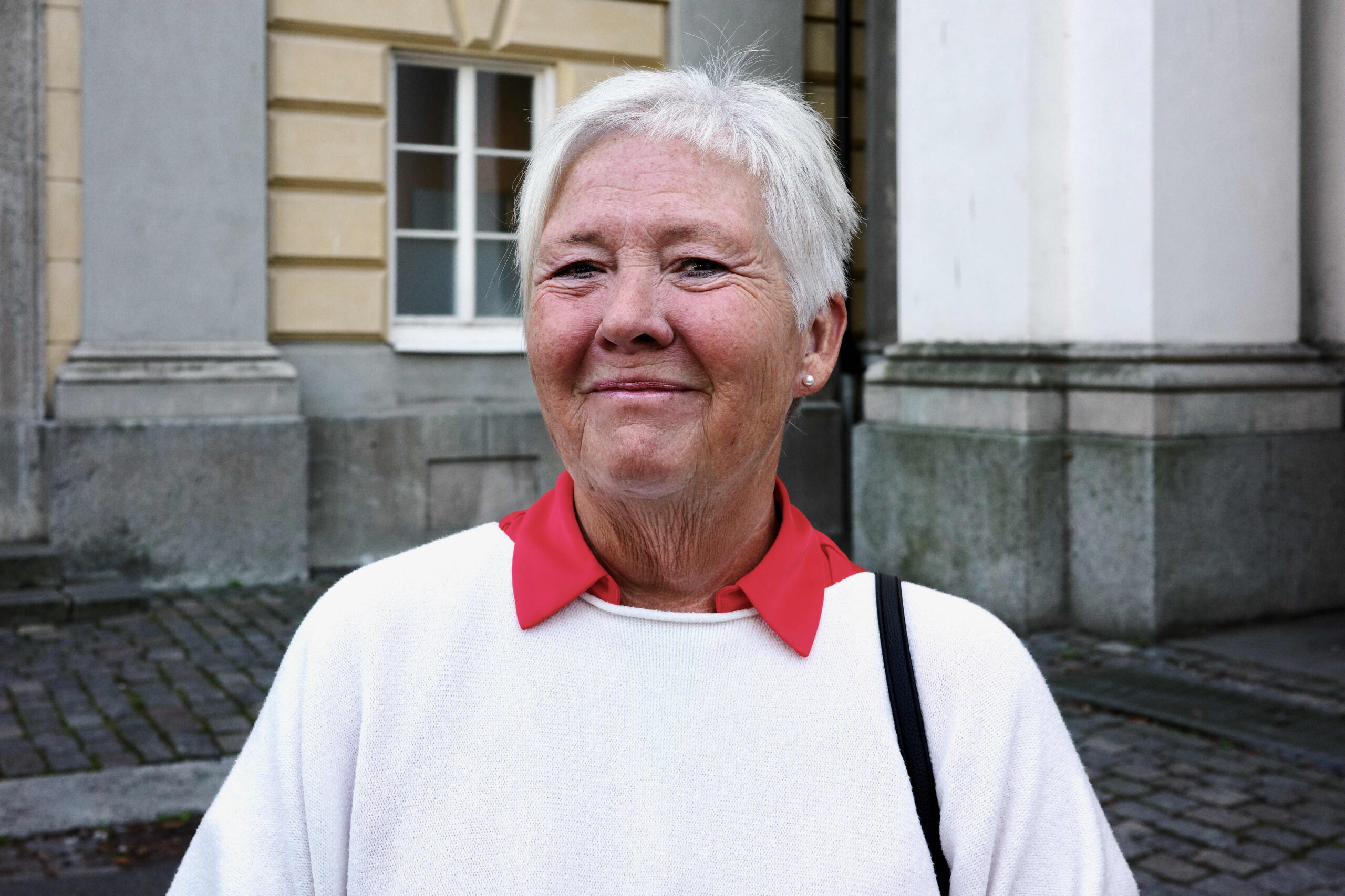 ”De tveksamma väljarna ställer otroligt bra frågor”