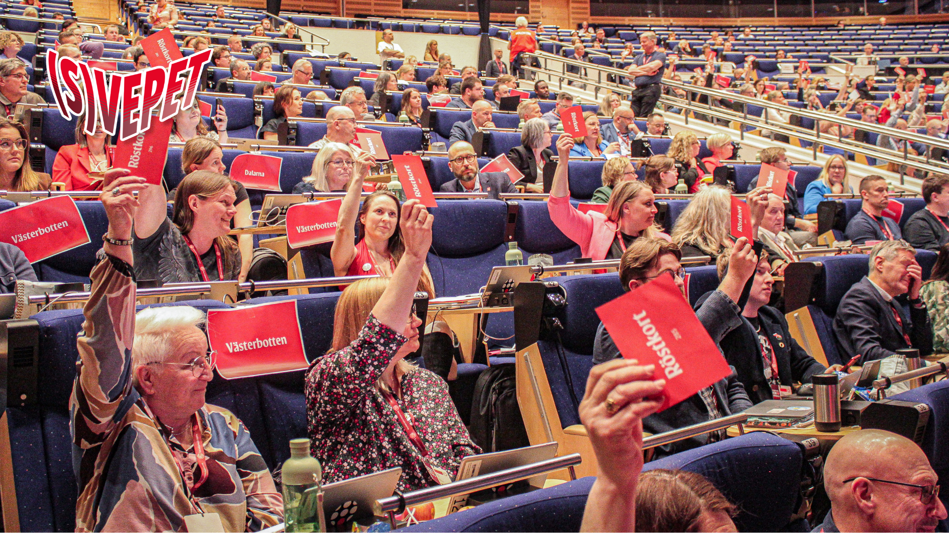 Vad bör Socialdemokraterna gå till val på?