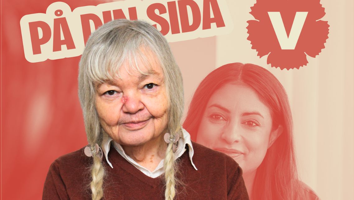 Vänsterpartiets tal om ”dörrmatta till S” stämmer inte