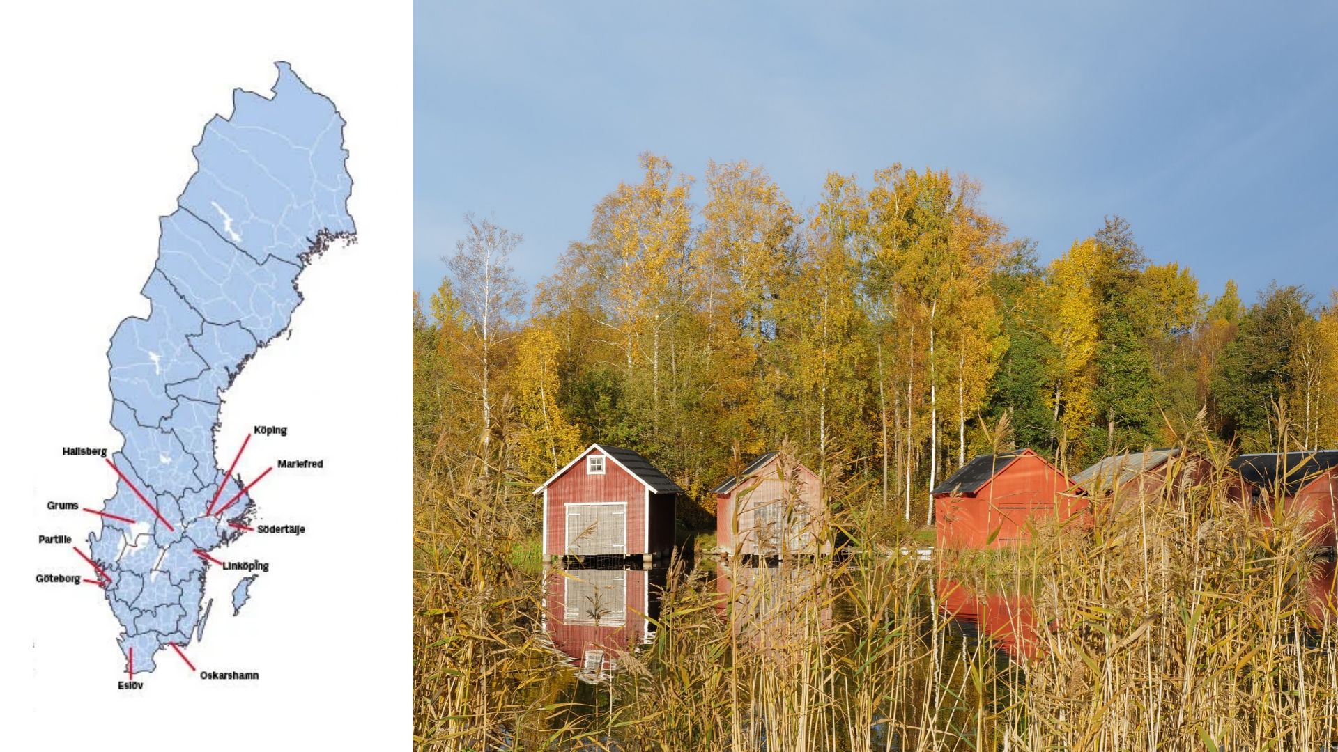 Sverigekollen: Familjeaffär, valkaos och nya tag