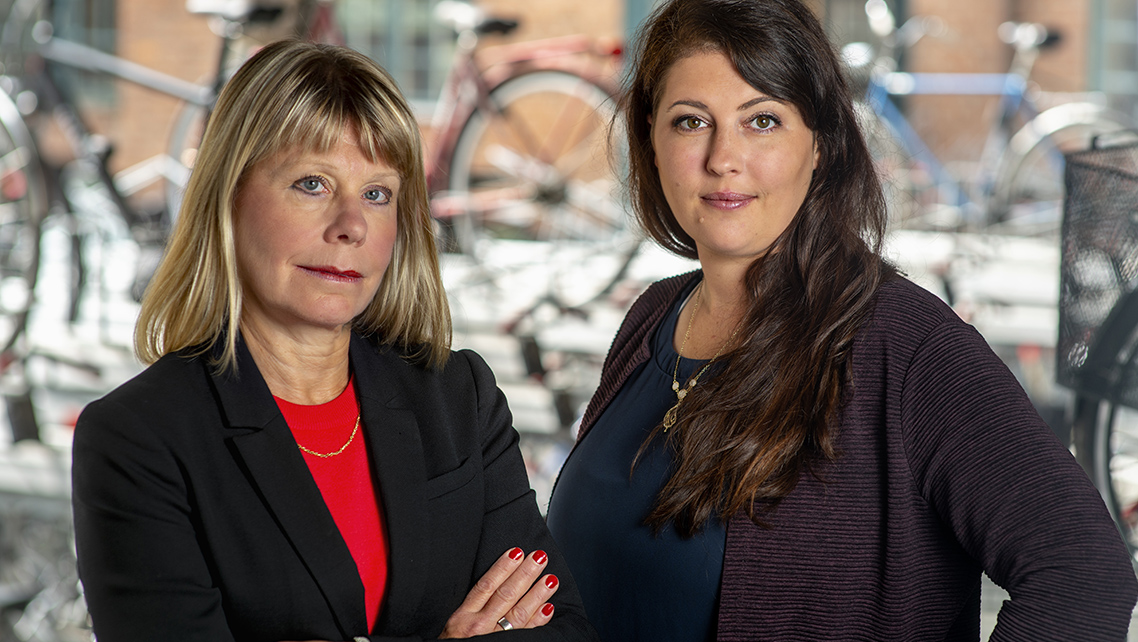 Här är ditt lags miljöprogram, Magdalena Andersson!
