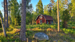 En röd stuga i skogen.